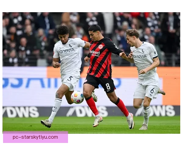 战法兰克福范德芬波罗缺席训练